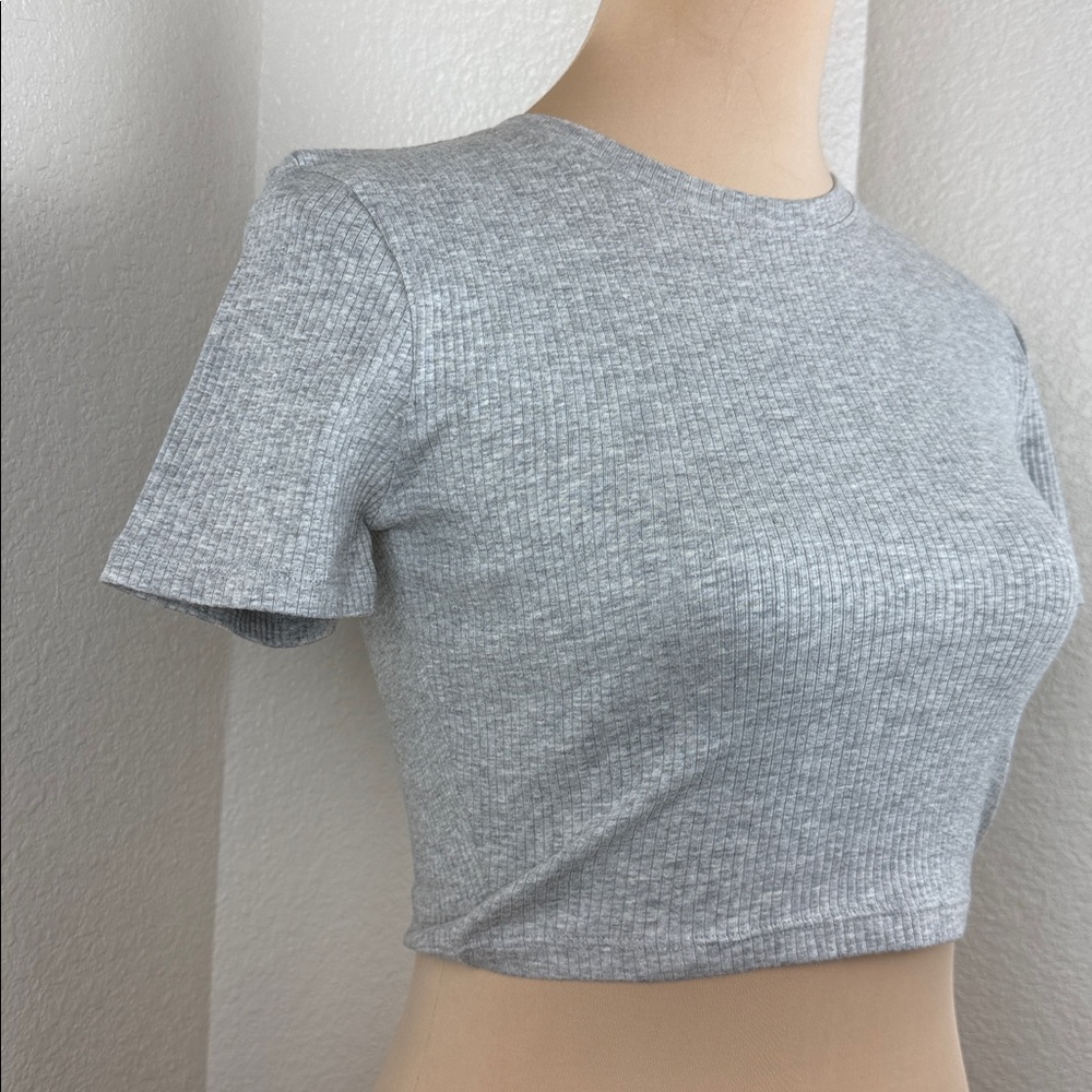 Zara Ribbed Short Sleeve Crop Top Shirt Size Medium - Picture 4 of 8